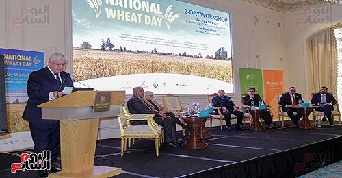You are currently viewing The Arab Organization for Agricultural Development participates in the activities of the National Wheat Day Conference in the Arab Republic of Egypt 13-14 February 2023