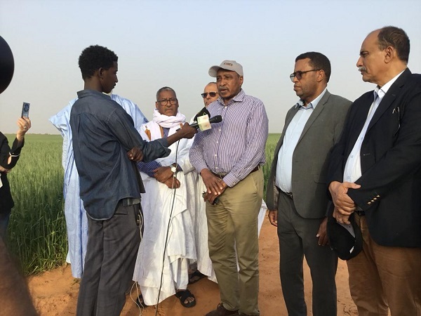 معالي المدير العام للمنظمة العربية للتنمية الزراعية يزور المساحات الزراعية على ضفاف نهر السنغال بموريتانيا