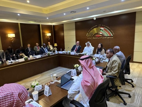 اجتماع شركاء التنمية في المملكة العربية للسعودية
