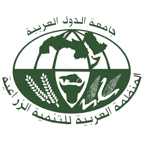 Opening of a specialized training course on peanuts as part of the project to improve trade in strategic commodities in Sudan.